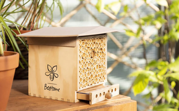 BeeHome : et si vous adoptiez… des abeilles !