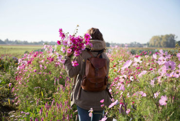 Le Bosquet : le pouvoir des fleurs locales