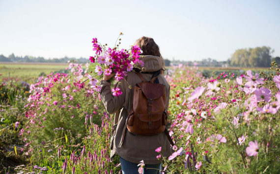 Le Bosquet : le pouvoir des fleurs locales