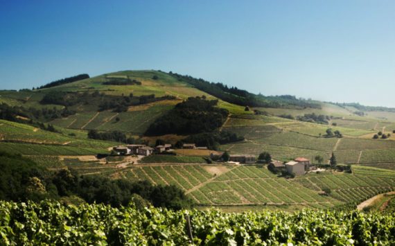 À moins de 100 km de Lyon, on s’échappe en Beaujolais