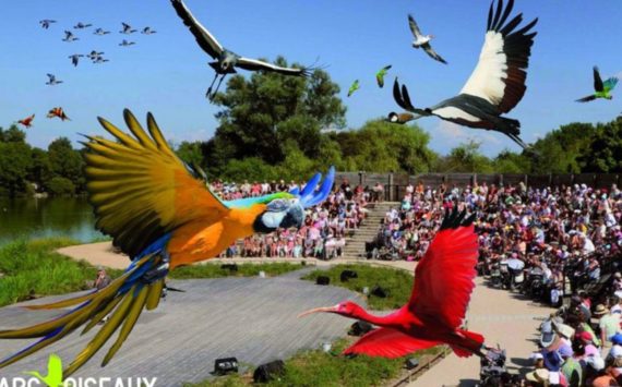 Le parc des oiseaux de Villars-les-Dombes réouvre au public.