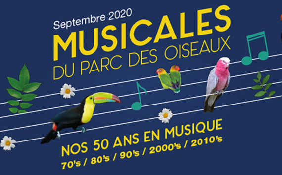 Découvrez « Les Musicales » du Parc des Oiseaux.