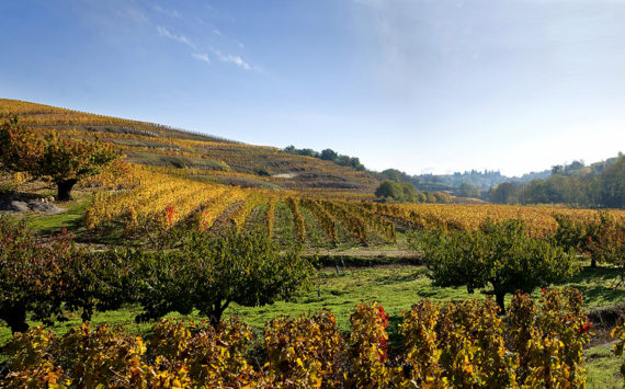 HORS-D’OEUVRES : l’happening engagé des vignerons de Crozes-Hermitage