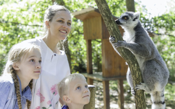 LE SAFARI DE PEAUGRES S’ENGAGE POUR LA FAUNE LOCALE !