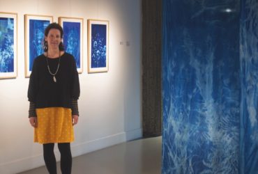 Les cui-cui militants d’Élodie Tribut