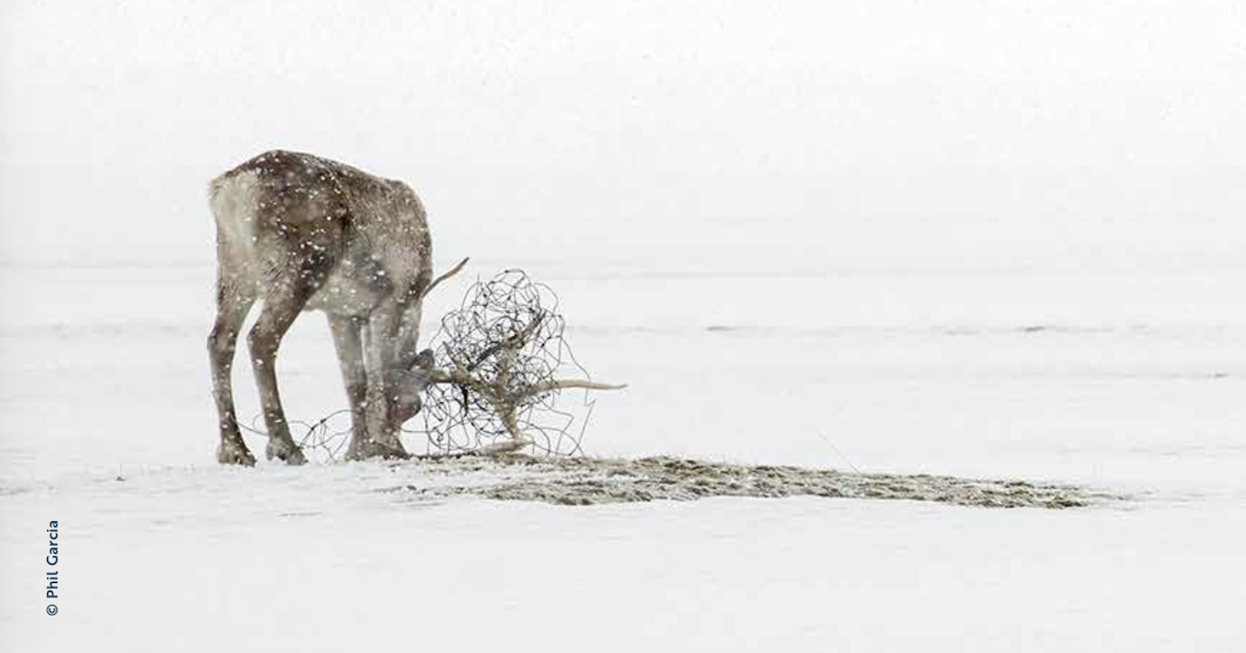 Montagne, Nature, Culture sont les 3 piliers du Chamonix photo festival.